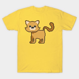 A Fashionable Zoo raccoon T-Shirt